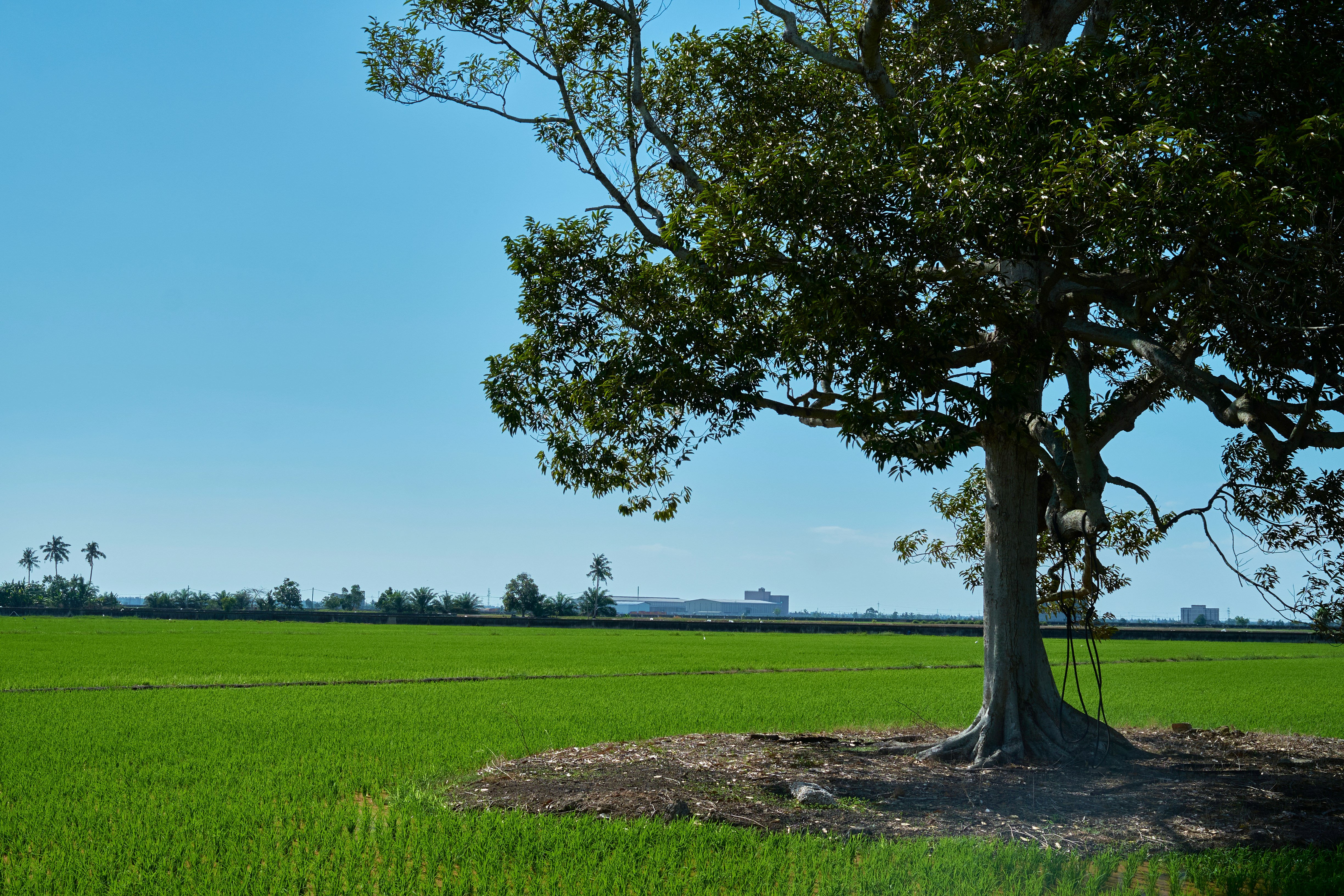 Photo by oto_photography