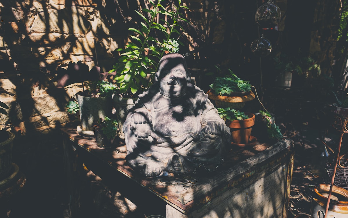 Plantas para macetas pequeñas: ideas creativas para decorar tu hogar