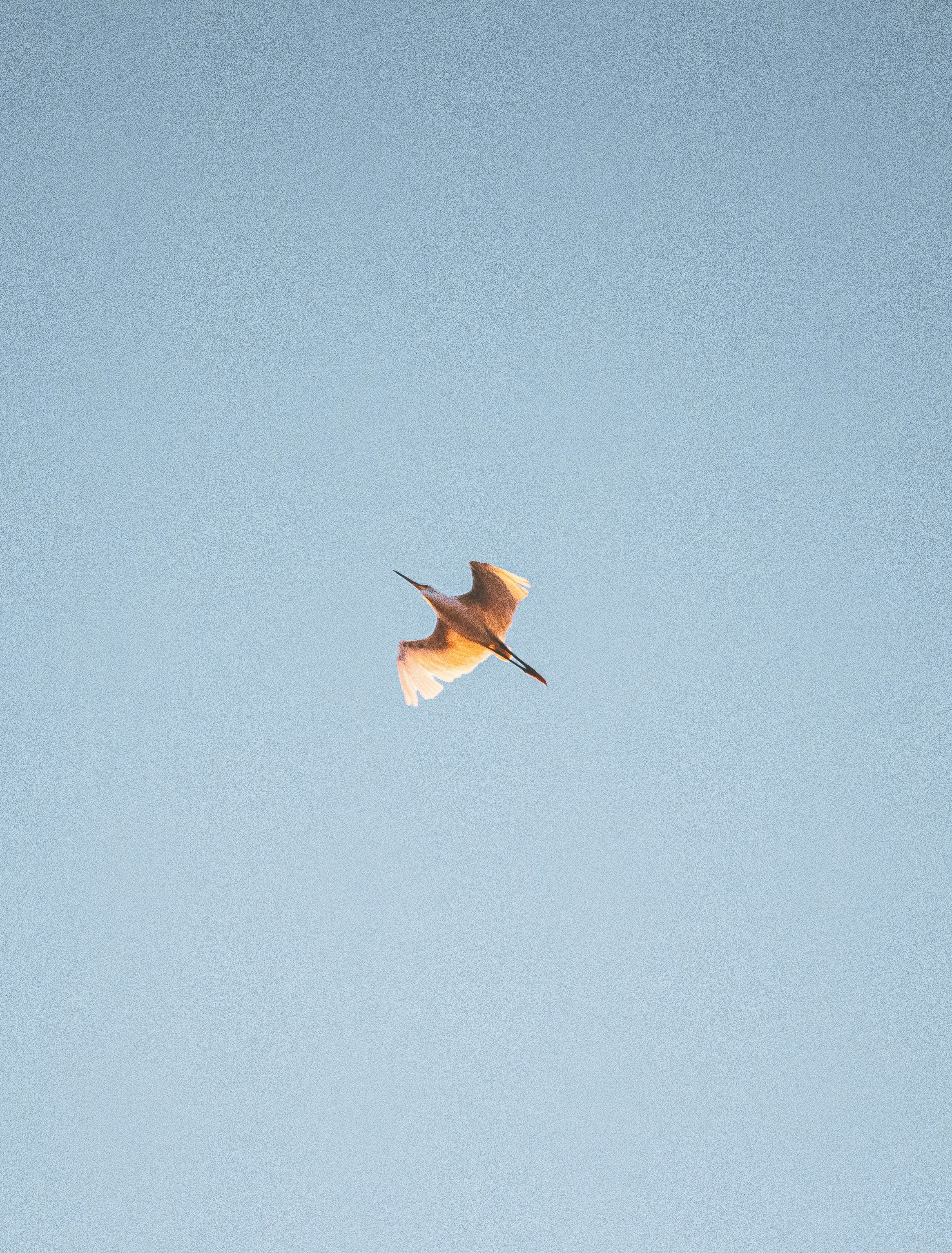 Photo by agustinfernandez