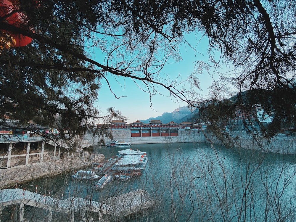 white and brown concrete building near body of water under blue sky during daytime