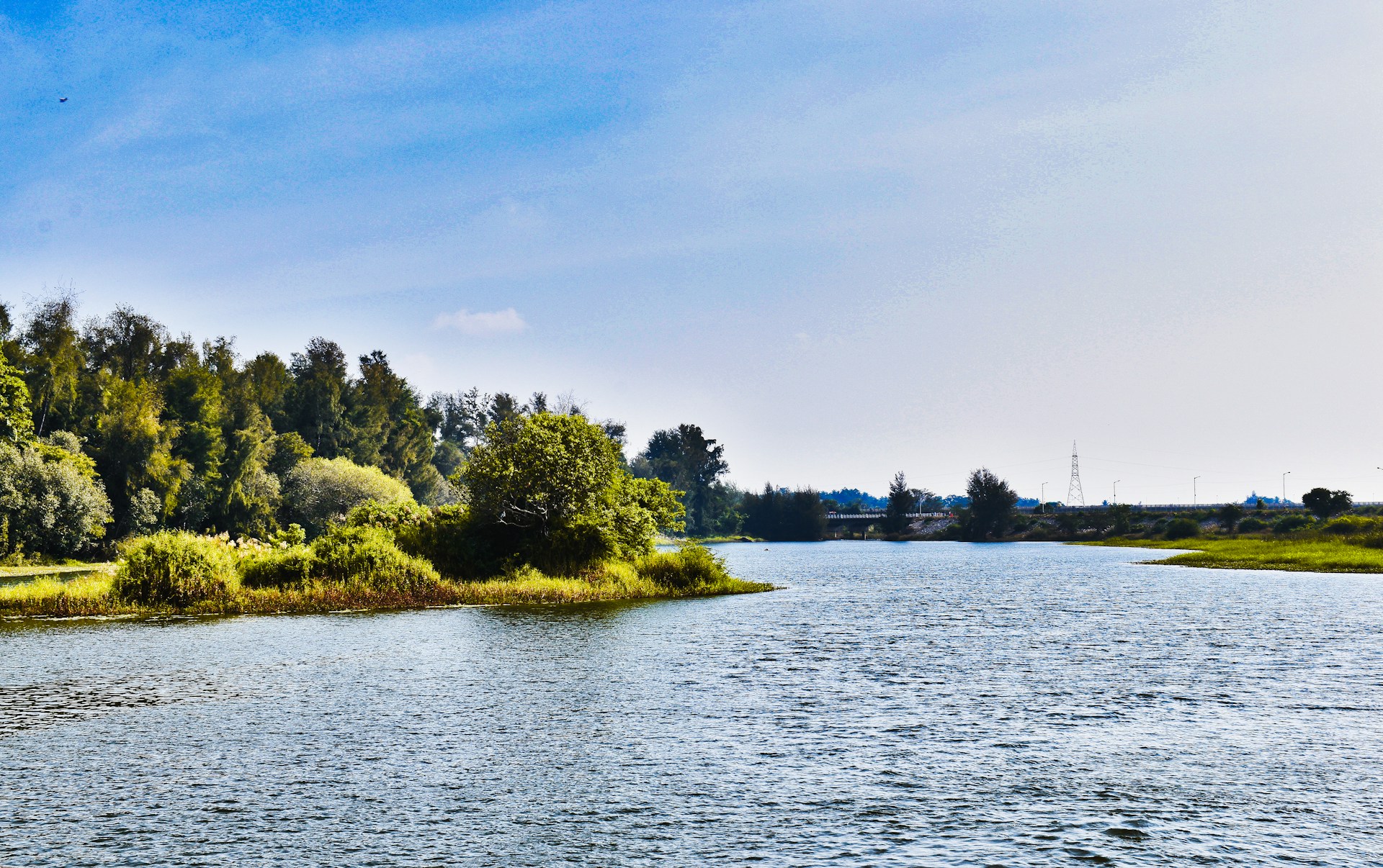 green trees beside body of water under blue sky during daytime