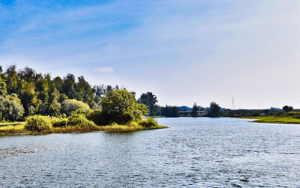 green trees beside body of water under blue sky during daytime