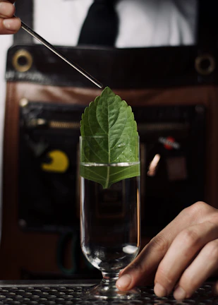 Close-up of fresh nilam leaves being carefully loaded into the distillation chamber.