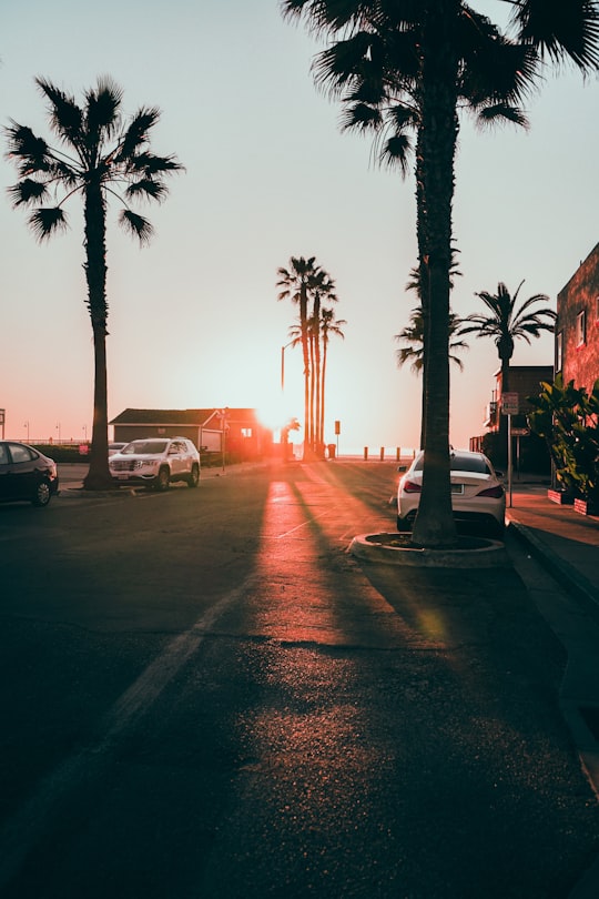 cars parked on the side of the road during sunset in Imperial Beach United States