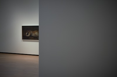 A dimly lit corner of the stable transformed into an art exhibition space with colorful paintings.