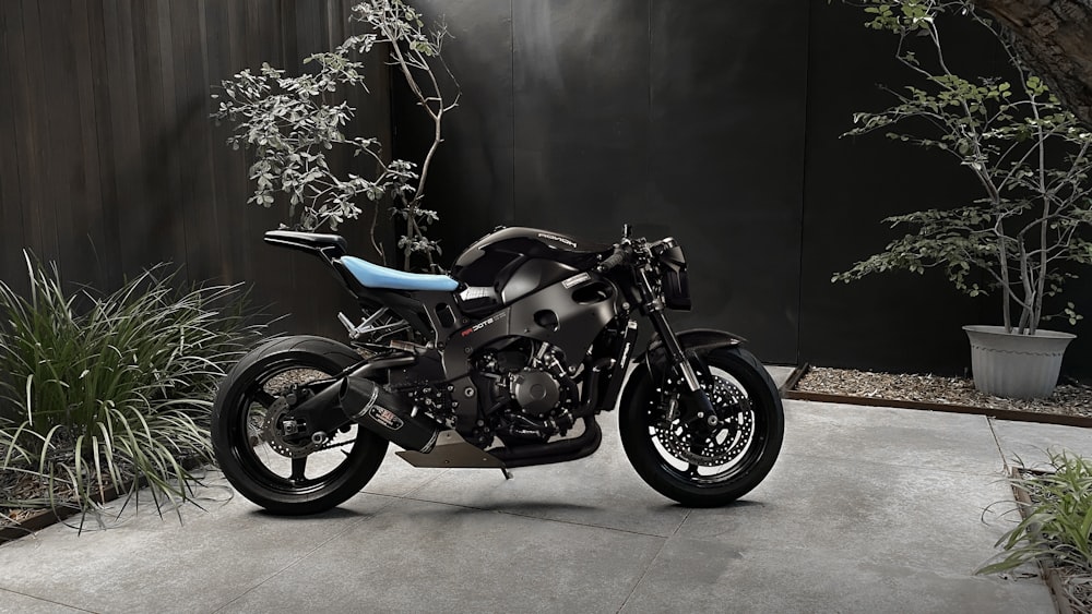 black and blue cruiser motorcycle
