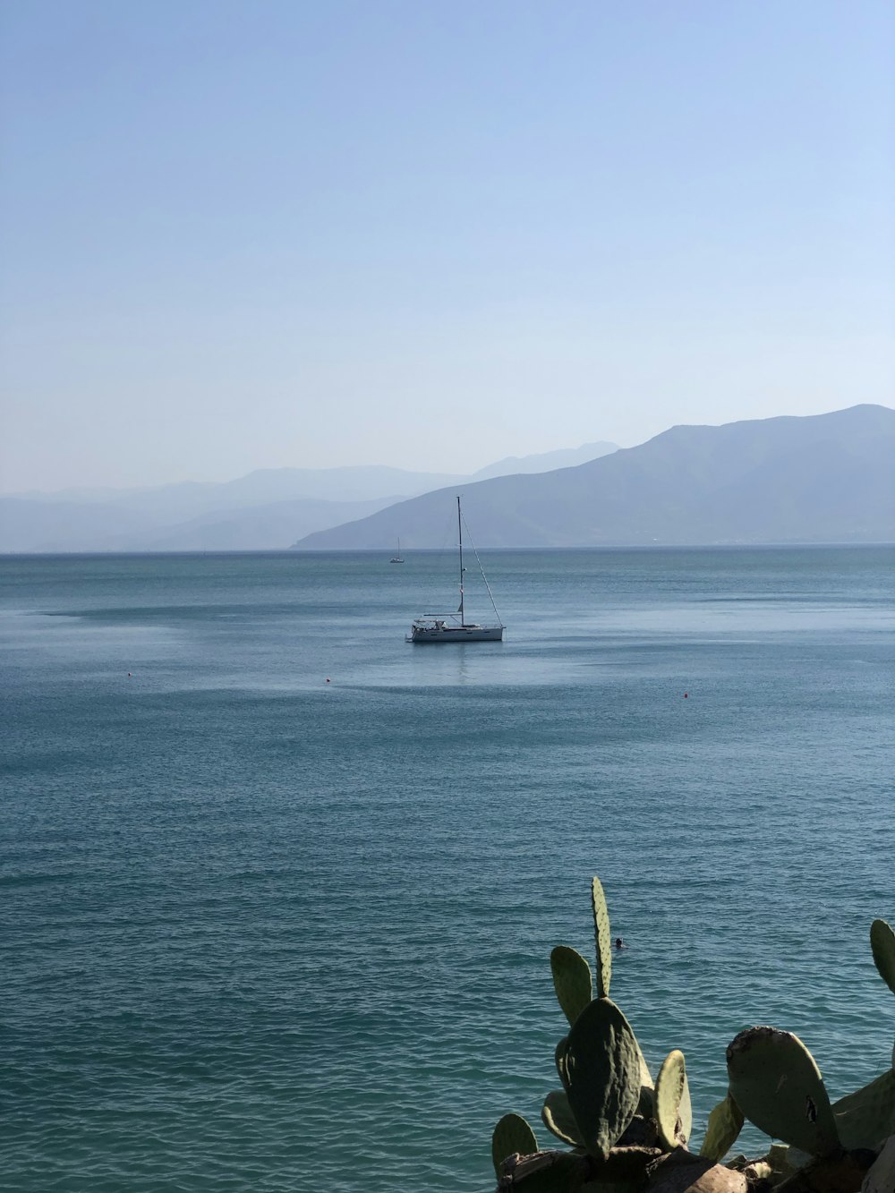 white and black boat on sea during daytime