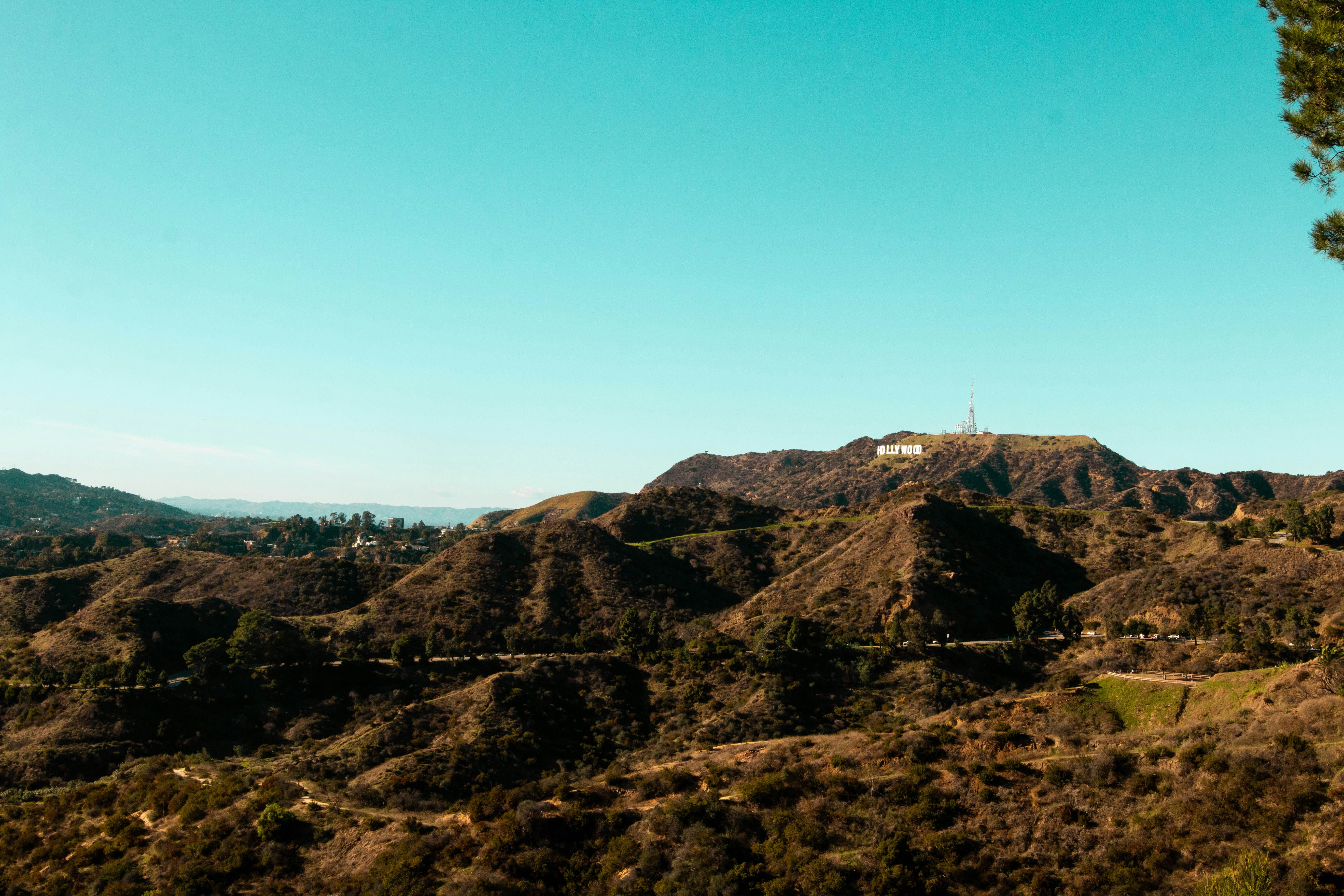 Photo by strvngefilmss