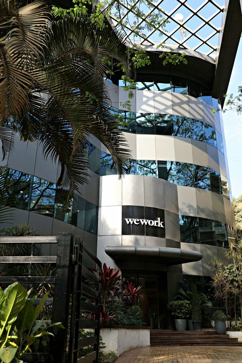 green palm tree near building during daytime