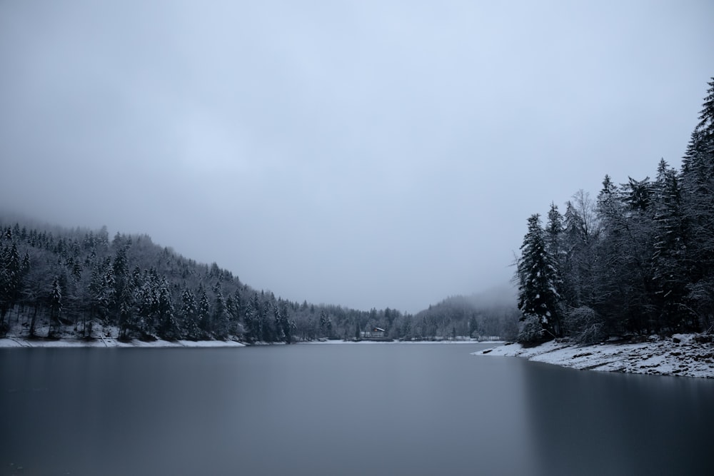 body of water near trees covered with snow during daytime