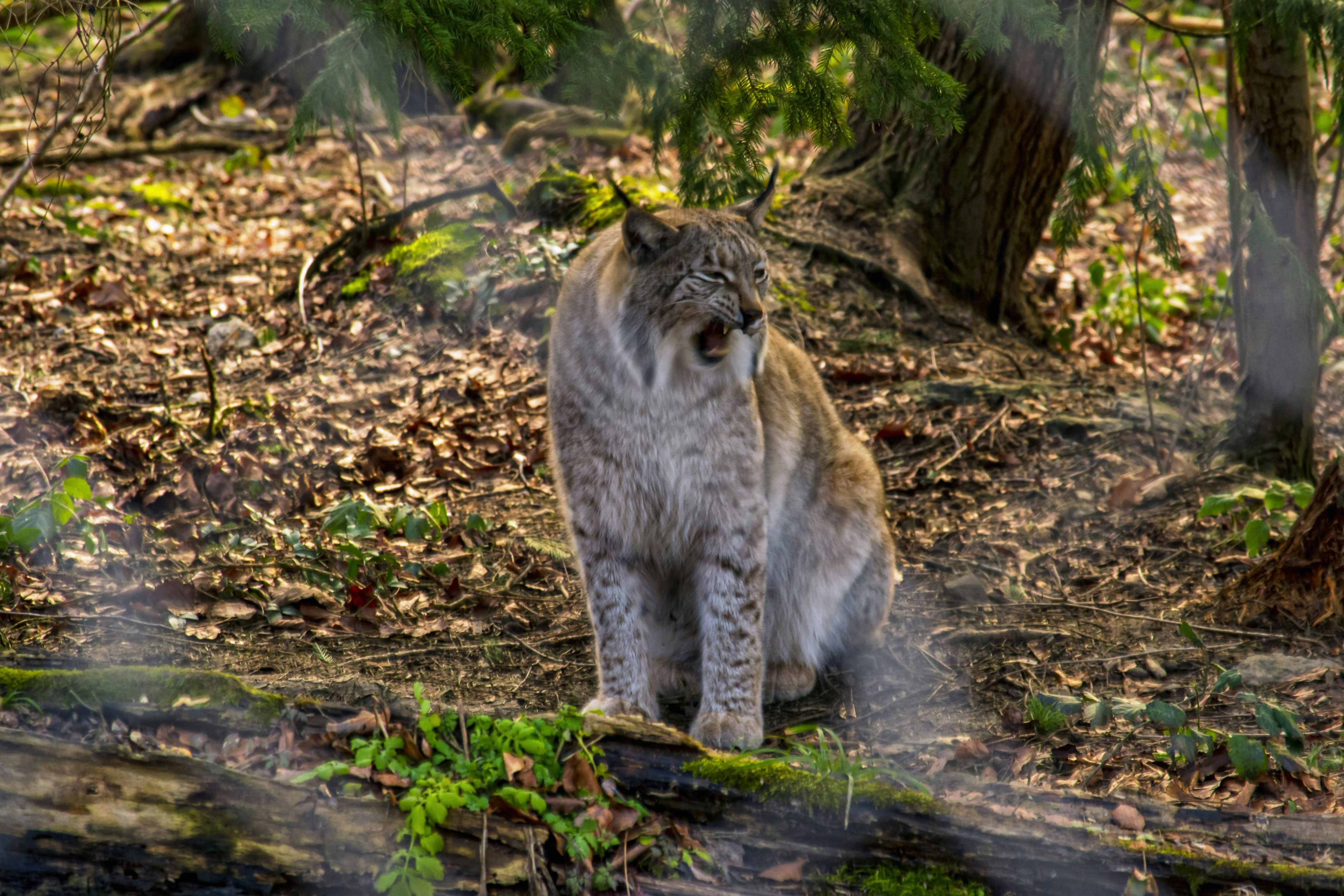 LINKS OF THE WEEK: Sept 24-30, 2023