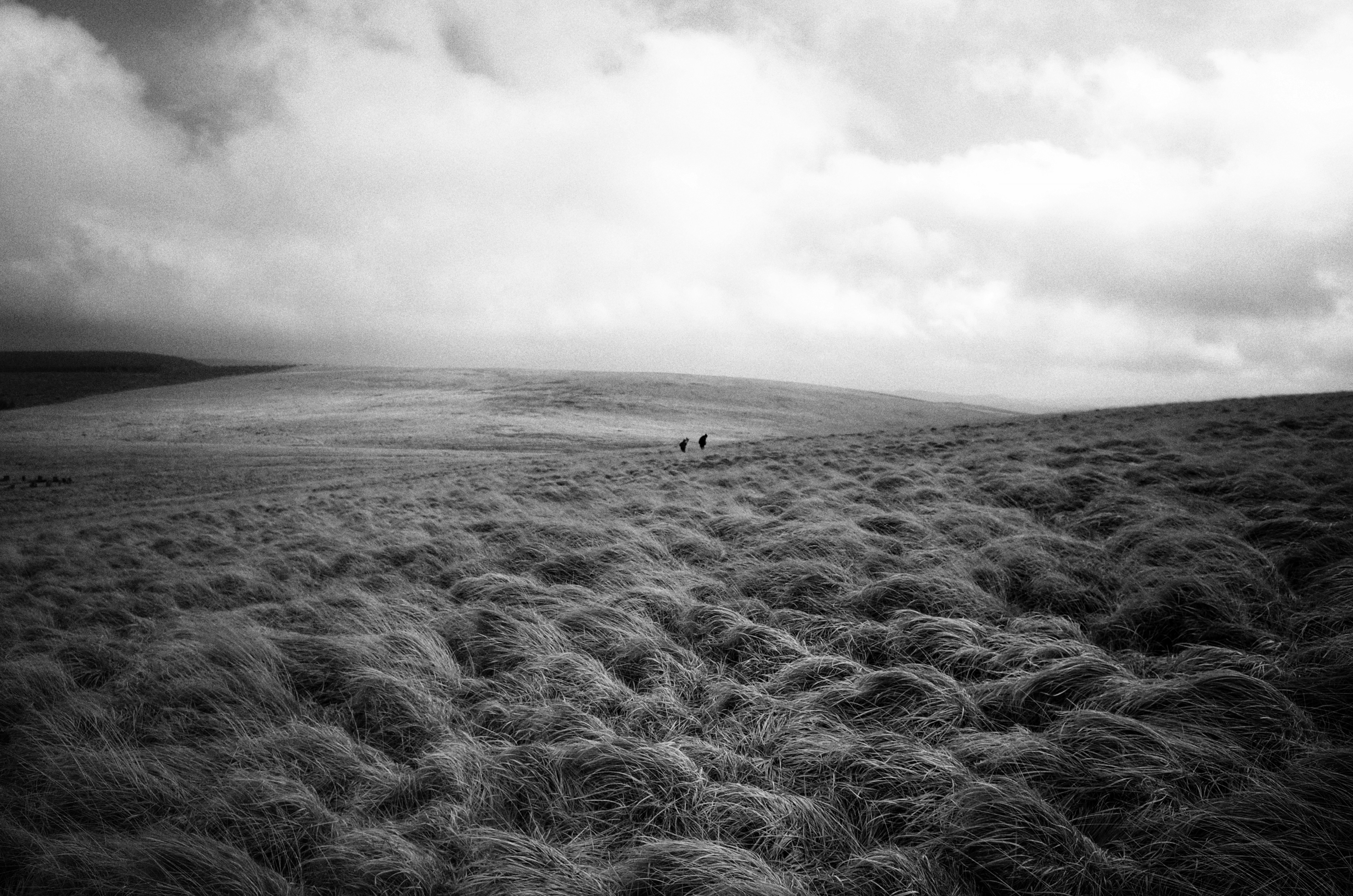 grayscale photo of person walking on the field
