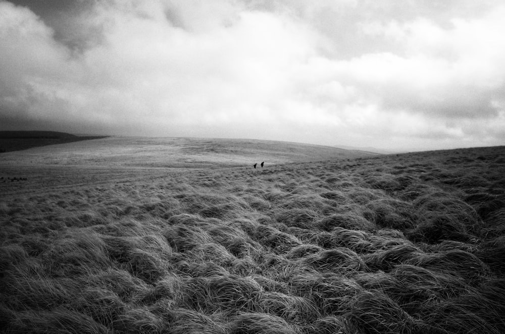 grayscale photo of person walking on the field