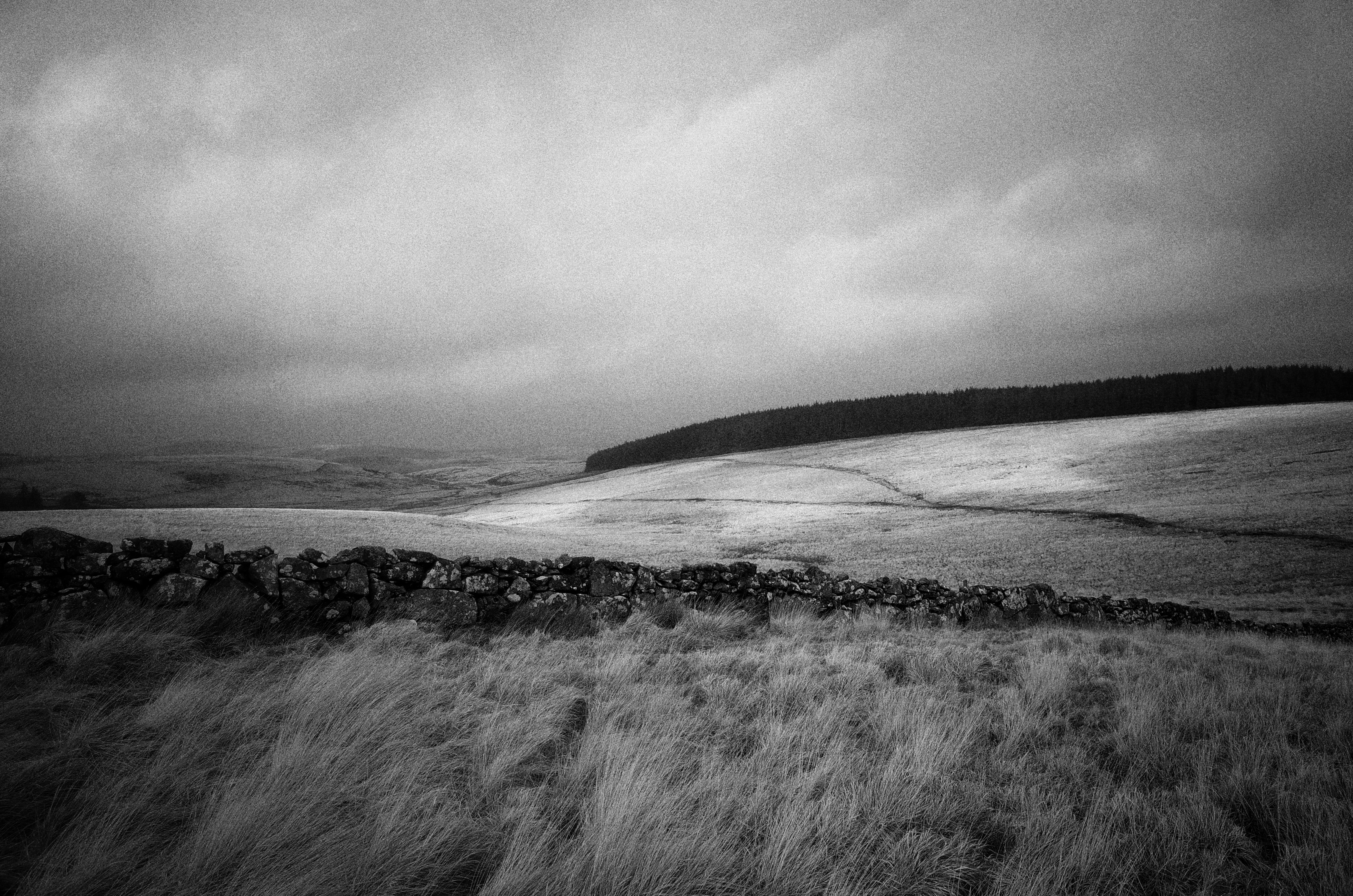 Photo by tomasrobertson