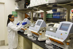 Scientist operating laboratory analysers in a clinical pathology testing facility.