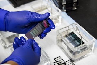 Blue-gloved hands are holding a piece of laboratory equipment, possibly a glass slide with various coatings or samples. The background includes trays filled with liquid and other glass slides.