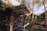 A series of wooden cabins surrounded by lush greenery and trees. The cabins feature wooden decks and pergolas, blending in with the natural environment. Sunlight filters through the trees, creating a serene and tranquil atmosphere. The area appears secluded with a peaceful ambiance, suggesting a retreat or getaway location.