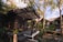 A series of wooden cabins surrounded by lush greenery and trees. The cabins feature wooden decks and pergolas, blending in with the natural environment. Sunlight filters through the trees, creating a serene and tranquil atmosphere. The area appears secluded with a peaceful ambiance, suggesting a retreat or getaway location.