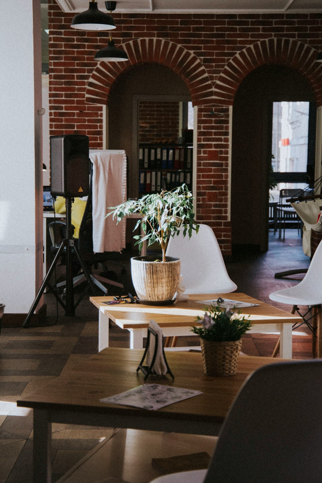 green potted plant on brown wooden table