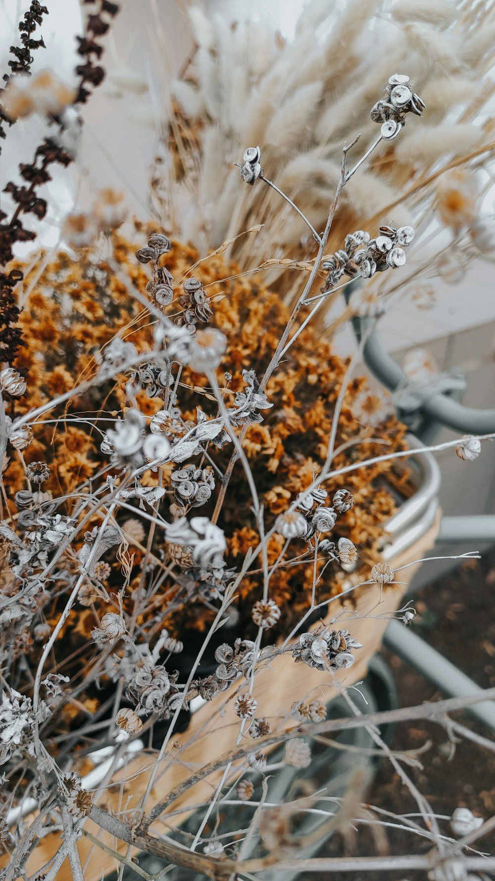 white flowers in white plastic pot