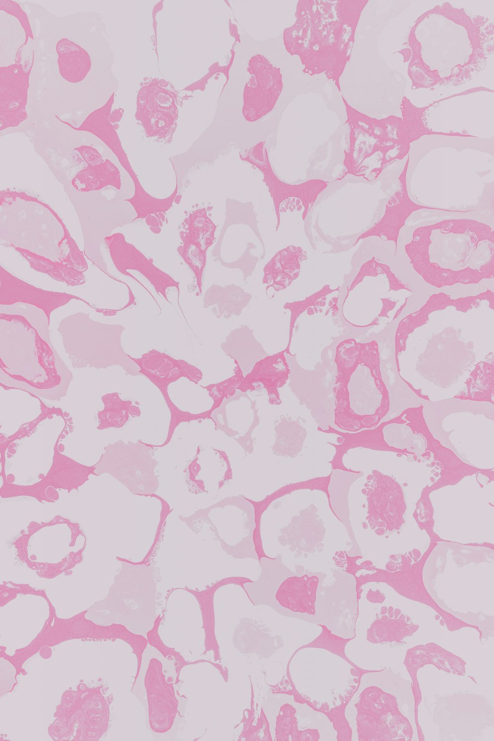 pink and white floral textile