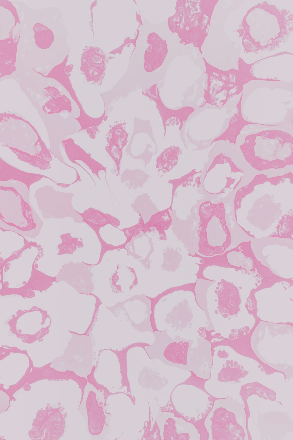 tecido floral rosa e branco