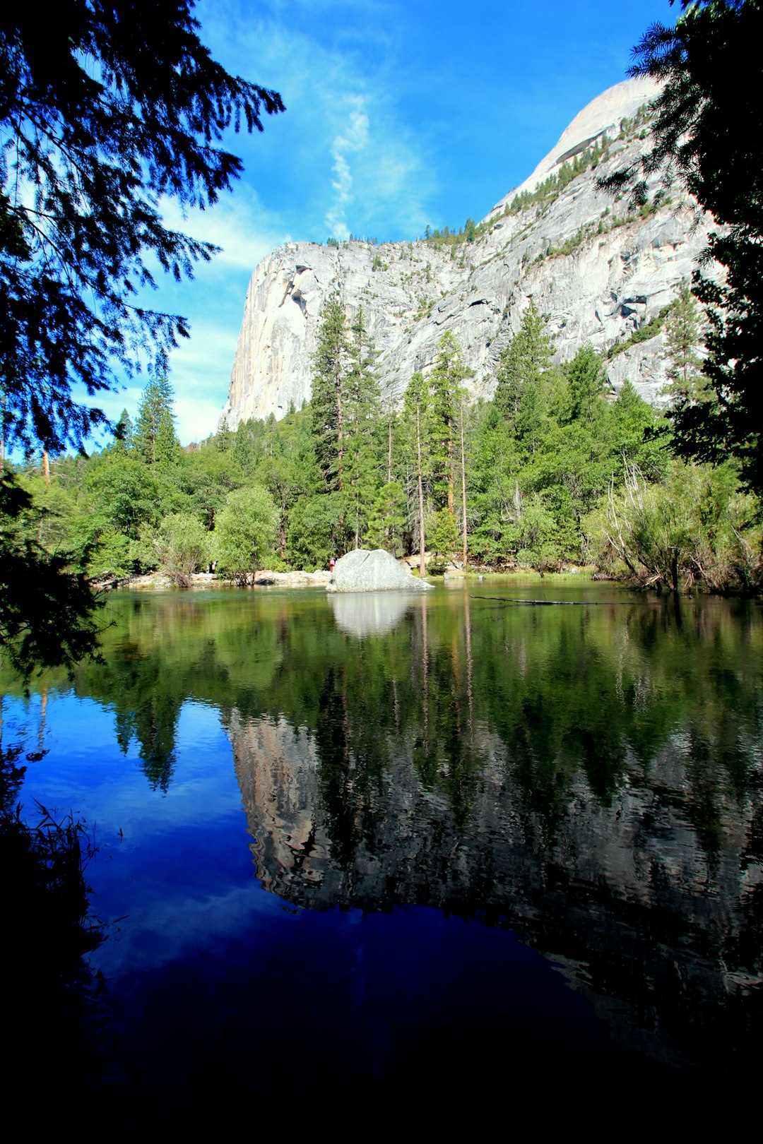 green trees beside lake during daytime