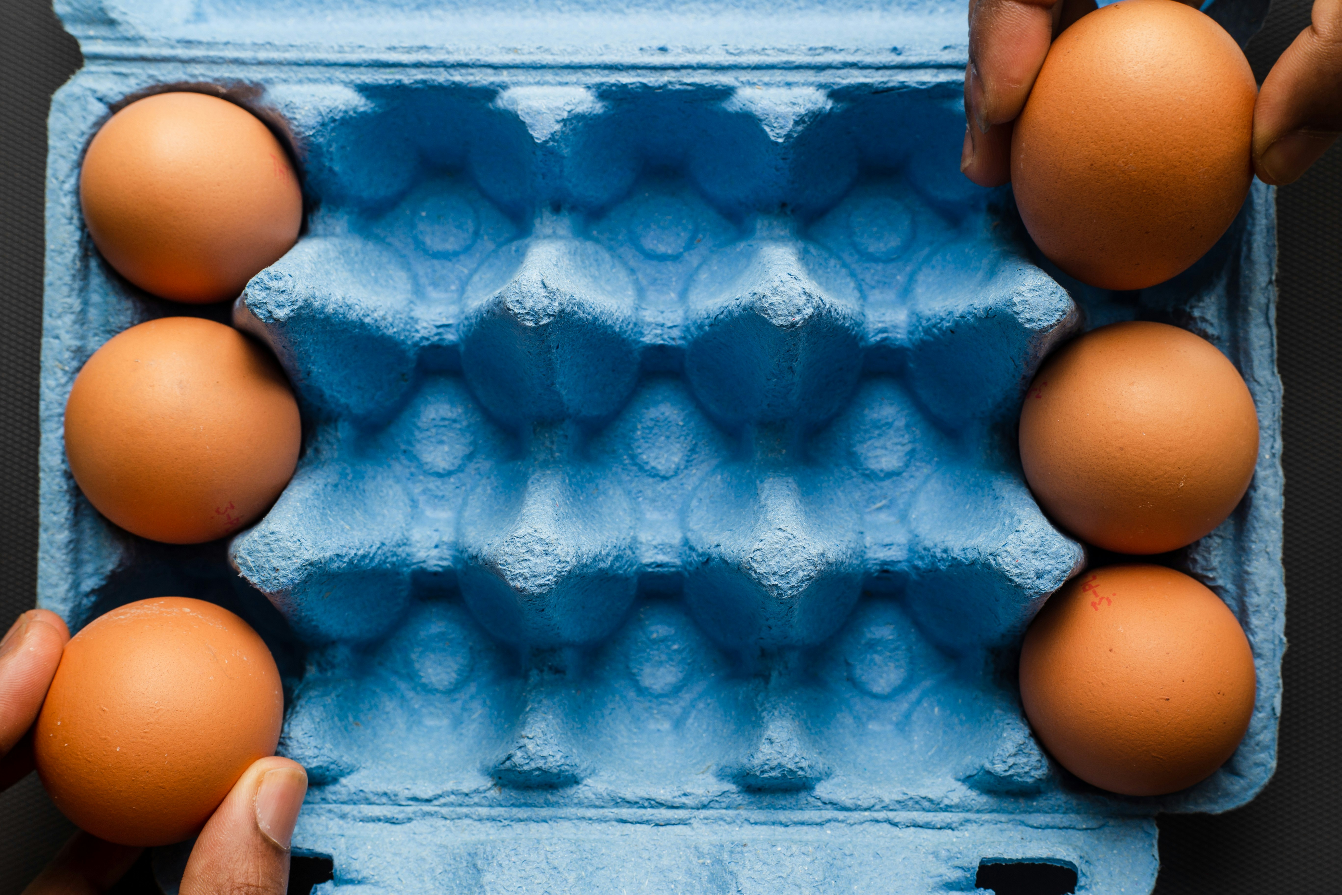 person holding blue glass decor