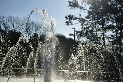 A beautiful outdoor fountain powered by a solar pump.