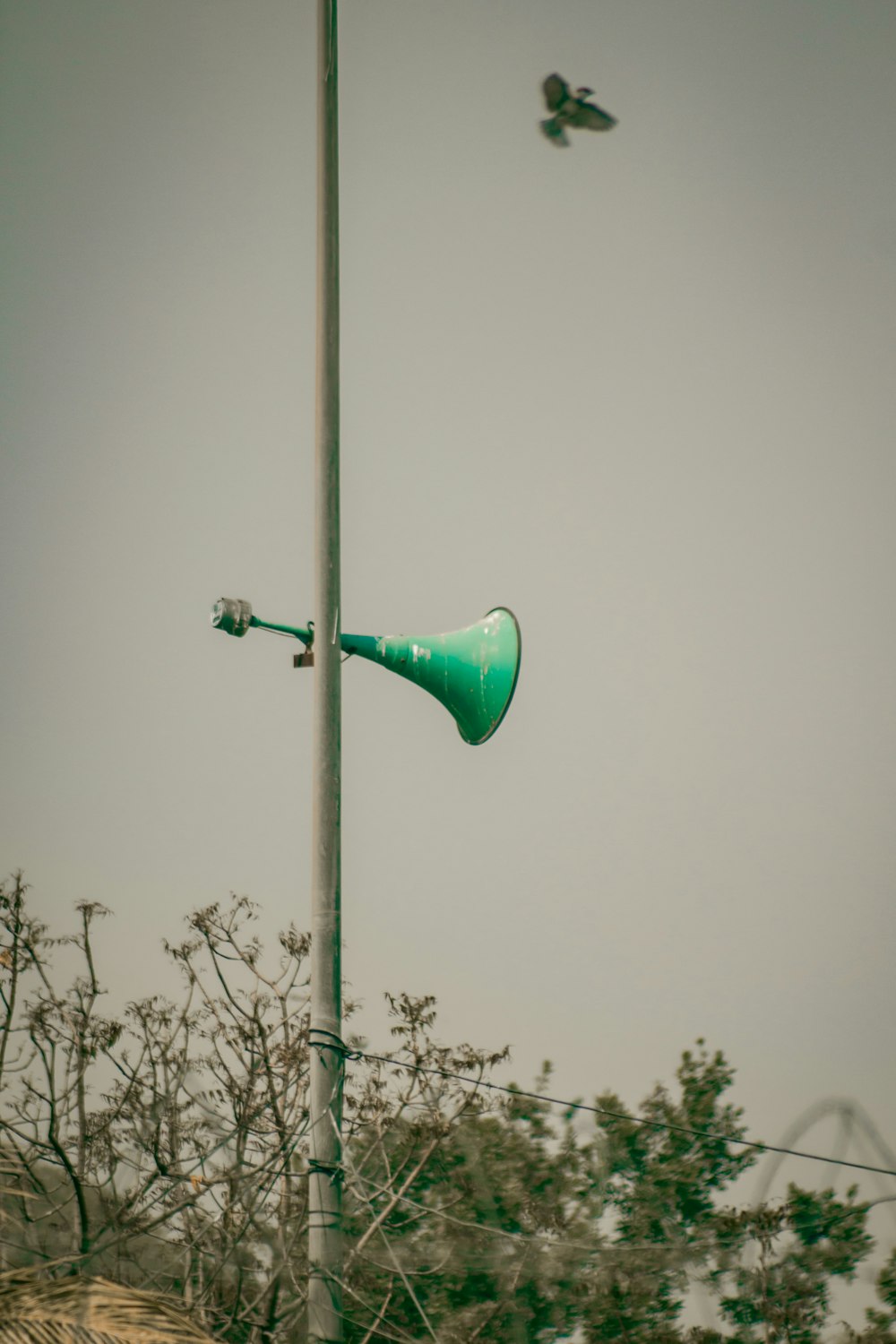 green street light under white sky