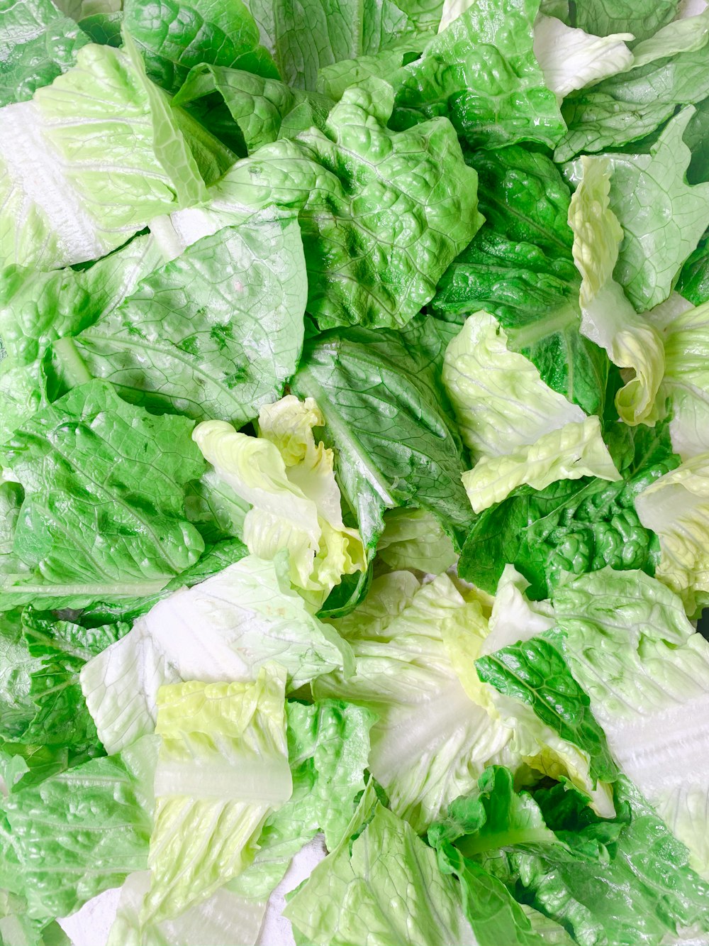 green and white cabbage vegetable