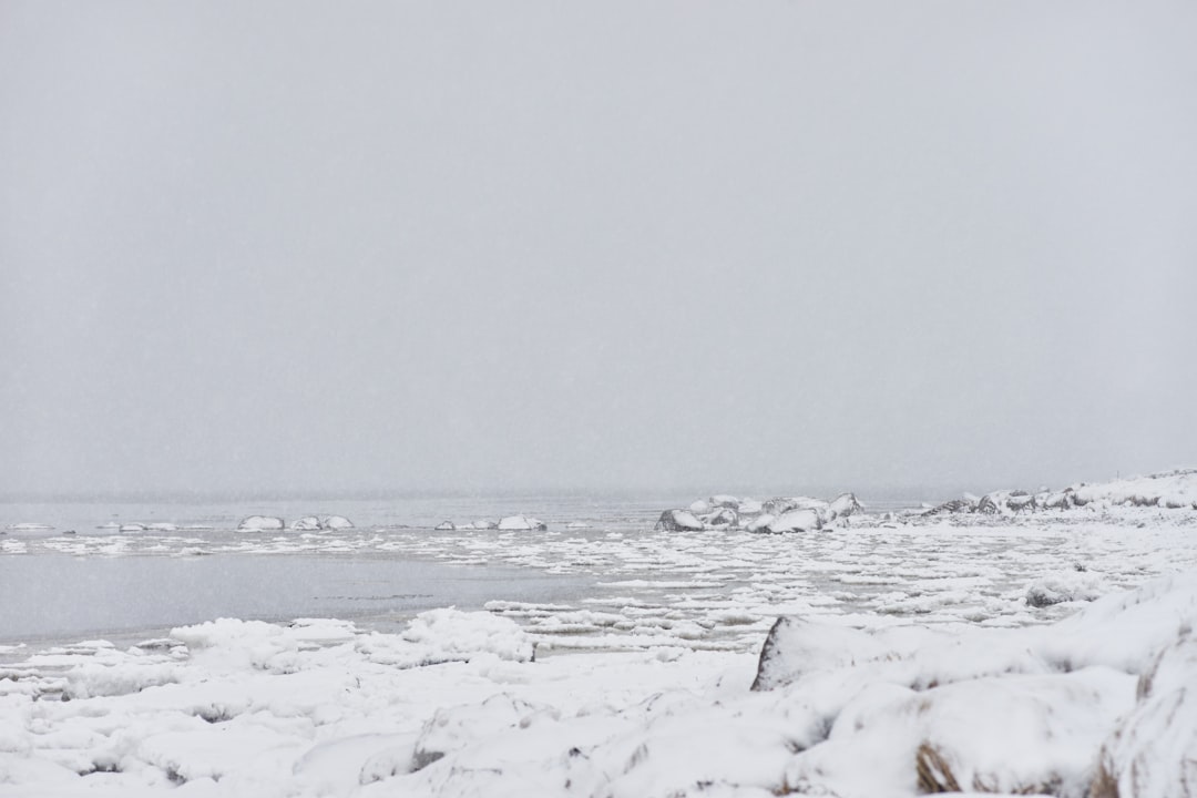 snow covered field during daytime