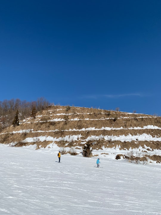 people playing snow ski on snow covered field during daytime in Niigata Japan