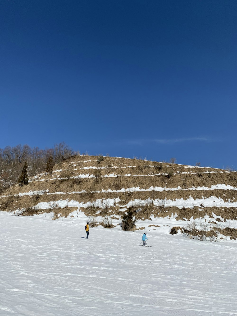 people playing snow ski on snow covered field during daytime