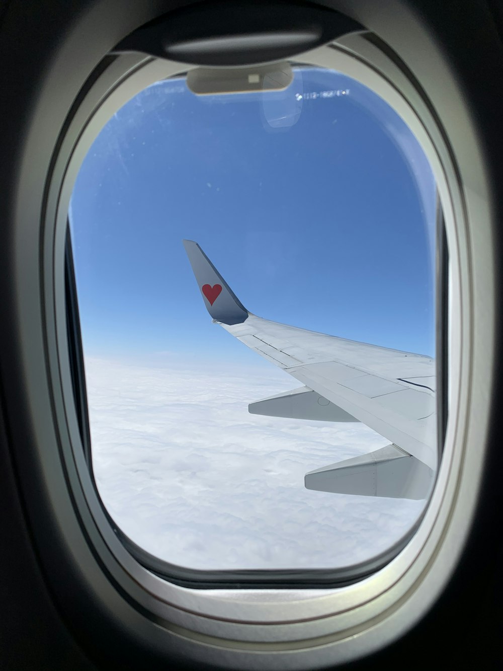 white and blue airplane wing