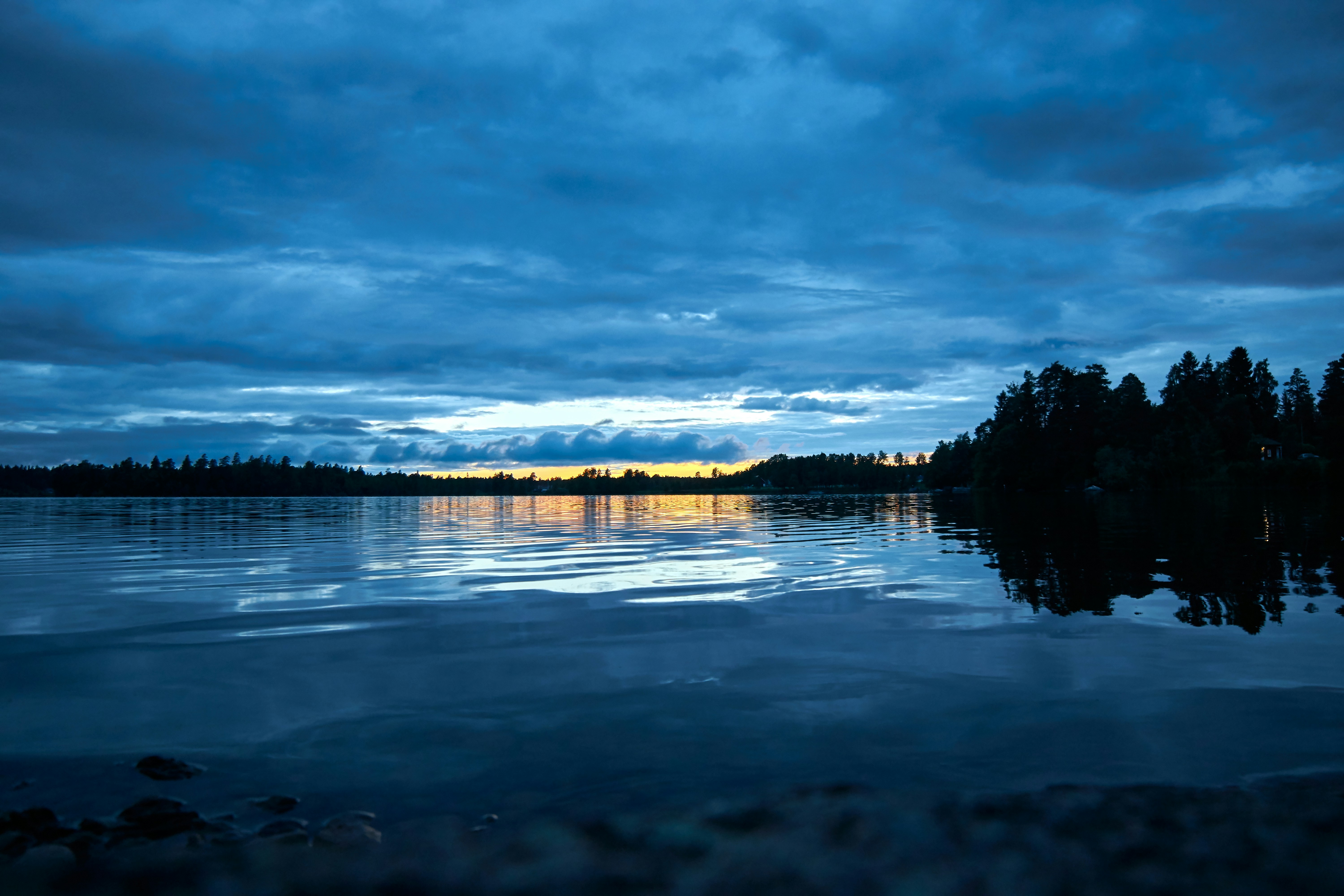 Photo by wolfgang_hasselmann