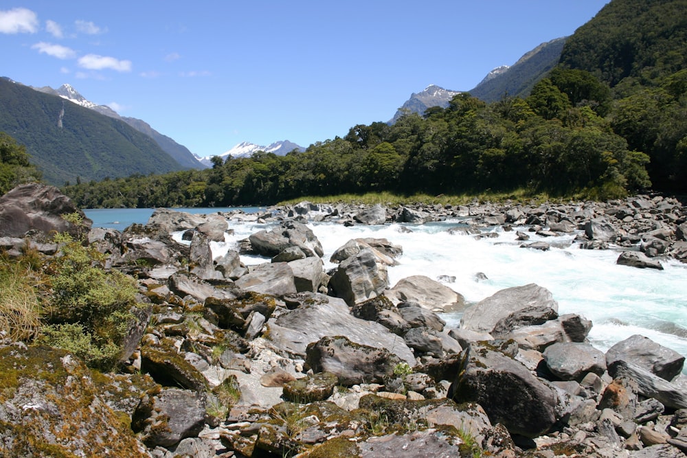 rocky shore with green mountains in the distance