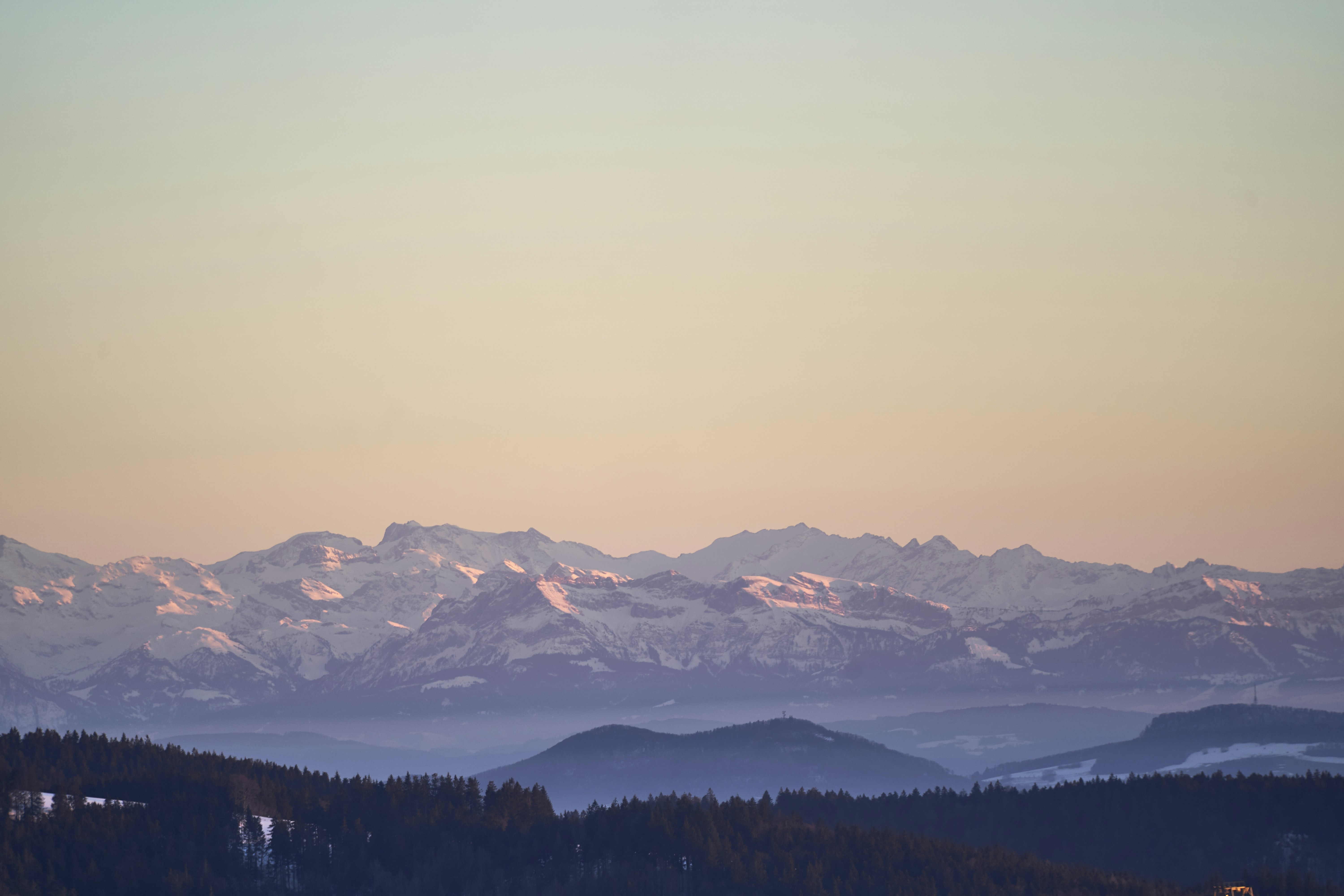 Photo by wolfgang_hasselmann