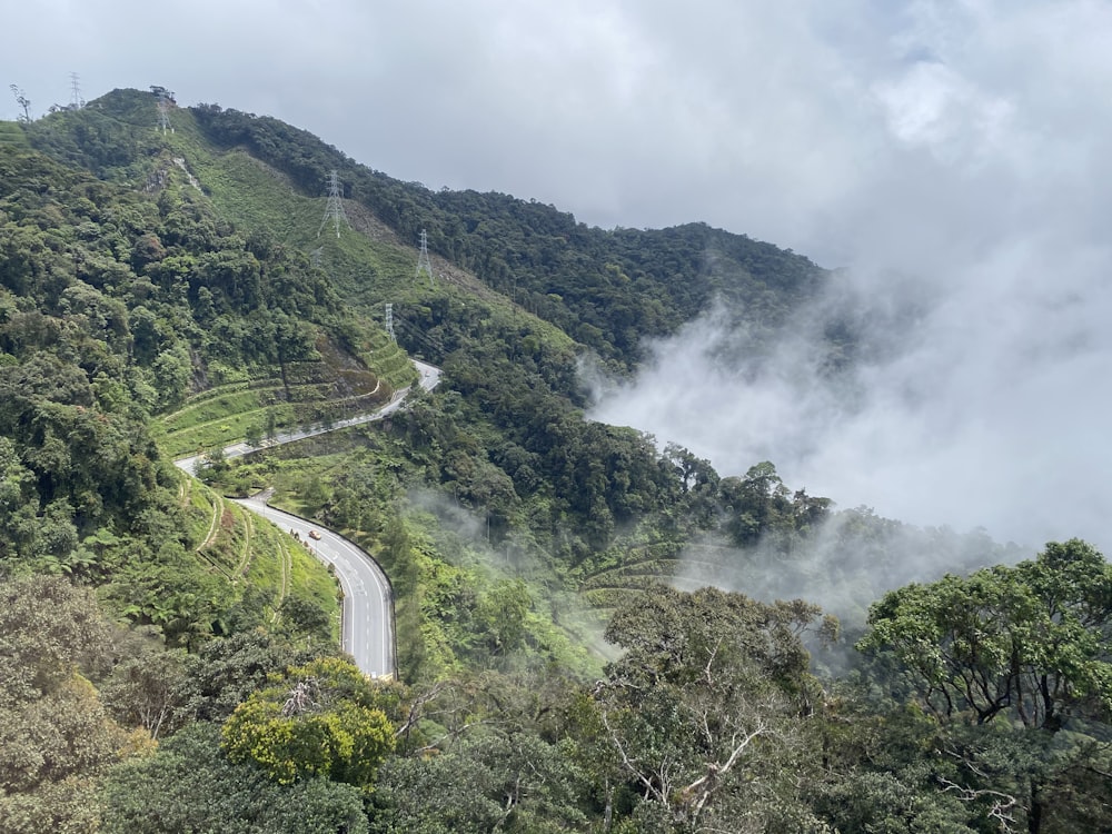 green trees on mountain under white clouds during daytime