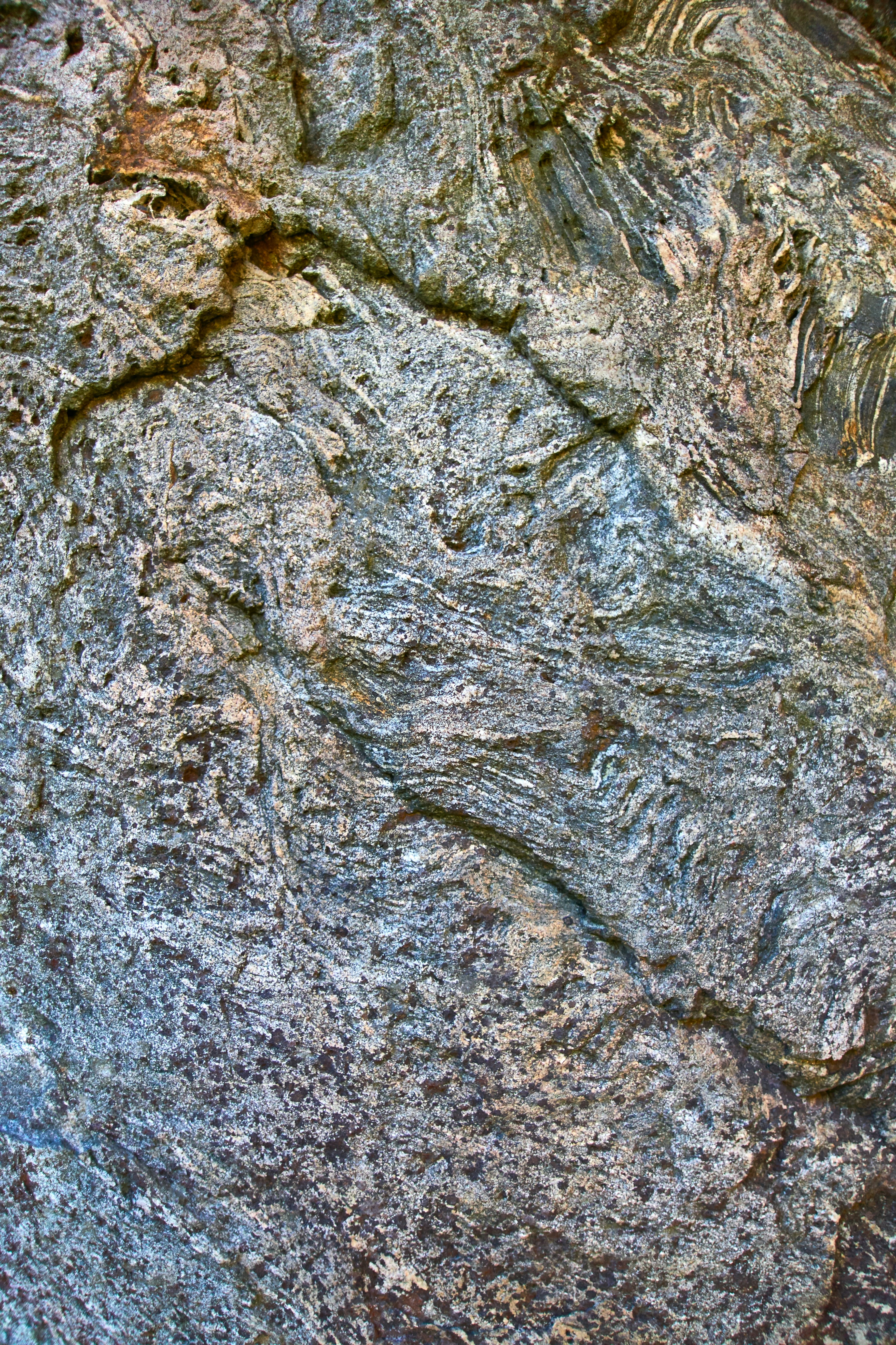 Photo by wolfgang_hasselmann