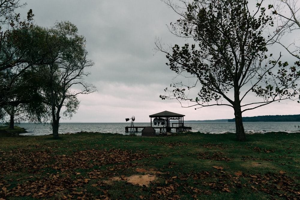 white and brown wooden house near body of water during daytime