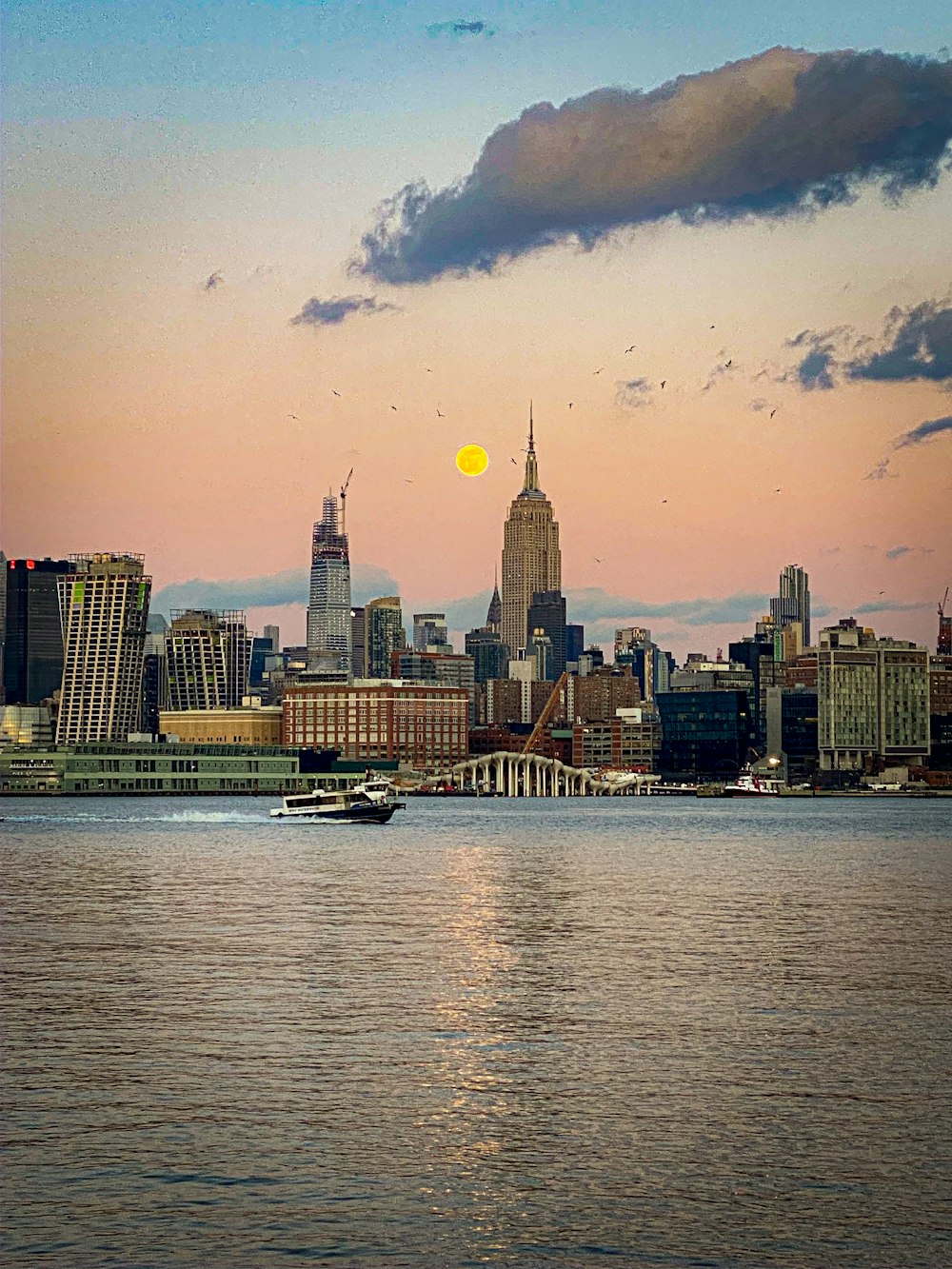 city skyline across body of water during daytime