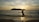 A person standing in a yoga tree pose on a beach during sunset, with the sun positioned behind them creating a silhouette. The ocean waves gently come to shore, and an island is visible in the distance. A parasailer is seen in the sky near the horizon, and there are a few other people in the water.