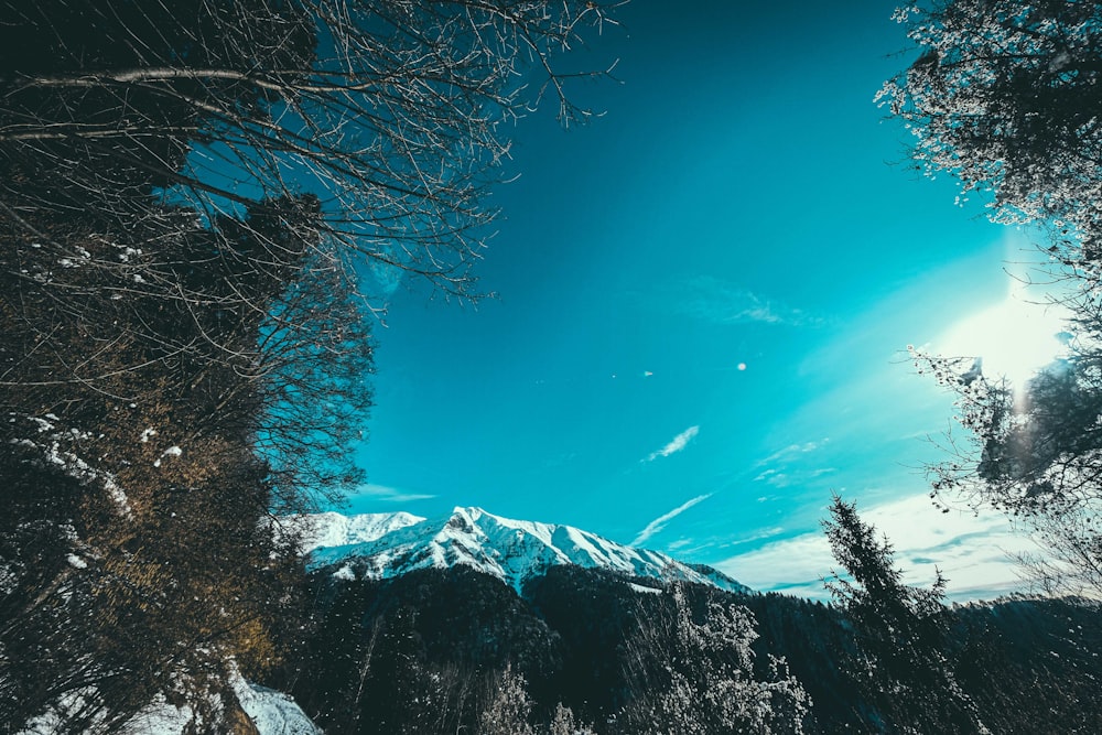 snow covered mountain under blue sky