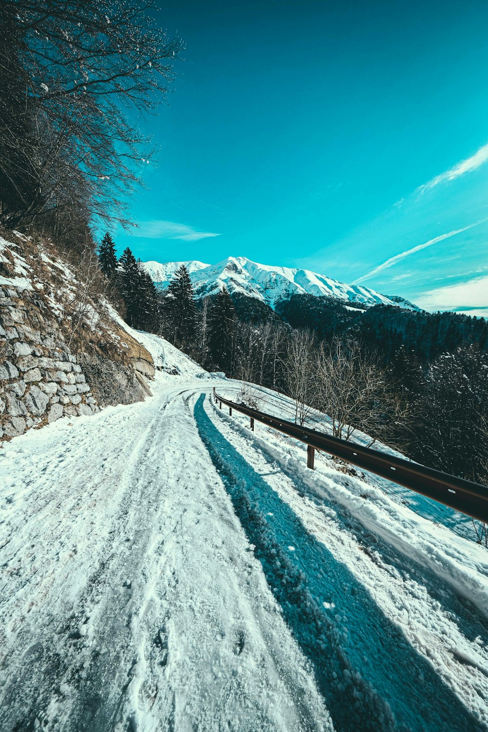 estrada coberta de neve entre árvores sob o céu azul durante o dia