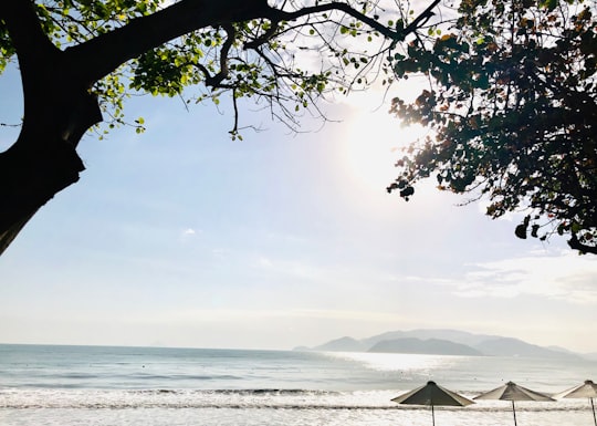 white and black tent on beach during daytime in Nha Trang Vietnam