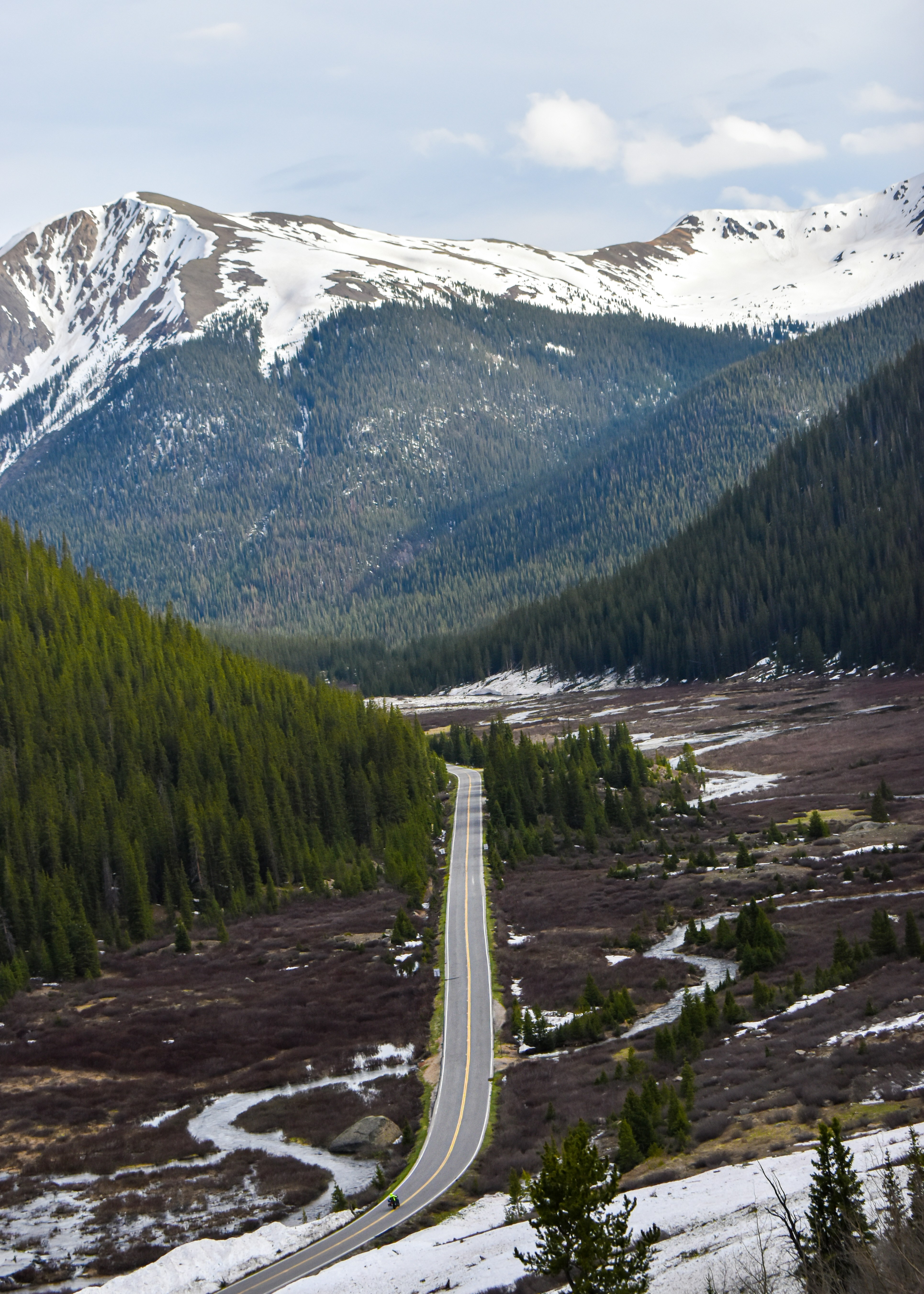 green trees near snow covered mountain during daytime