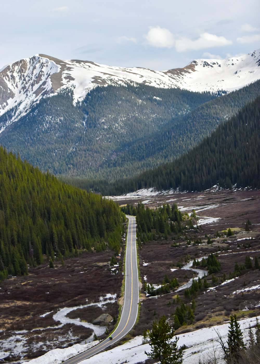 green trees near snow covered mountain during daytime