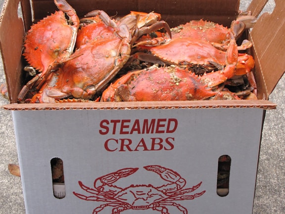 A neatly packed box of seafood delivered to a happy customer's doorstep.