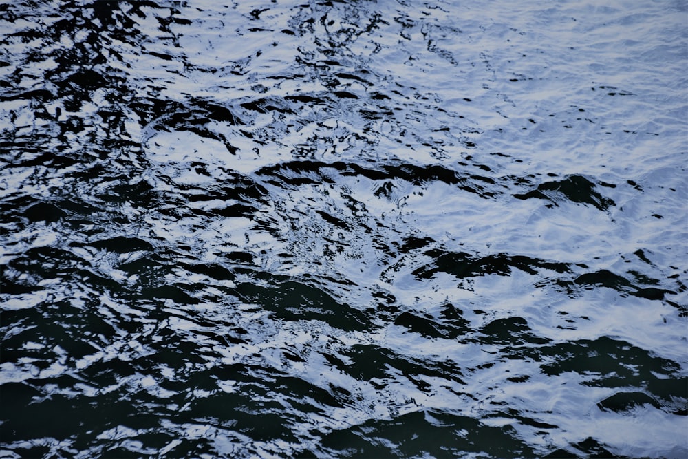 water wave in close up photography